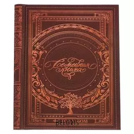 Фотоальбом "Семейная книга", 20 магнитных листов размером 20 х 28 см