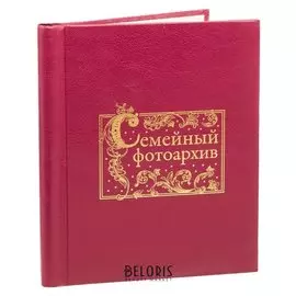 Фотоальбом "Семейный фотоархив", экокожа, 20 магнитных листов