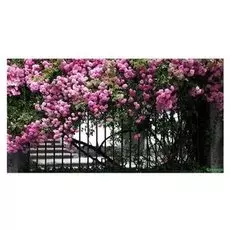 Фотобаннер с фотопечатью Терраса