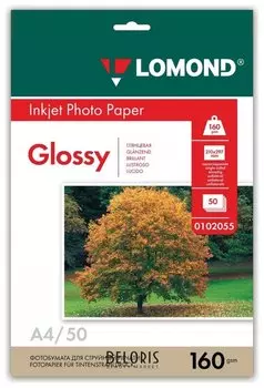 Фотобумага для струйной печати, А4, 160 г/м2, 50 л, односторонняя глянцевая