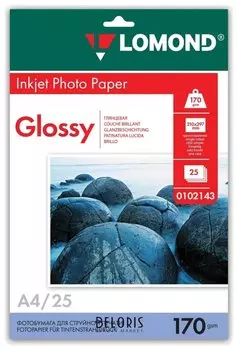 Фотобумага для струйной печати, А4, 170г/м2, 25 л, односторонняя глянцевая