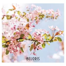 Фотообои "Цветение яблони", 210х200 см, 130 г/м