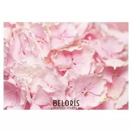 Фотообои "Цветы гортензии", 200х140 см, 130 г/м