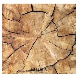 Фотообои «Дерево» (6 листов), 210х200 см