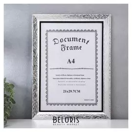 Фоторамка пластик формат А4 "Кора серебряная с чёрной рамкой" 35х26 см