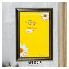 Фоторамка пластик Fotex VIP 30х45 см (Чернёное серебро)