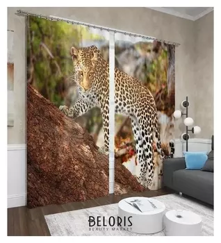 Фотошторы «Грация» 145х260см- 2 шт