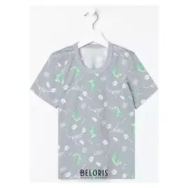 Футболка для мальчика, цвет серый/динозавр, рост 92 см