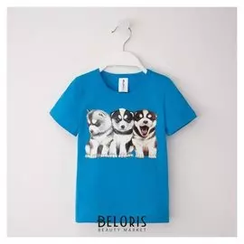 Футболка "Хаски", рост 86-92 (28), бирюзовый