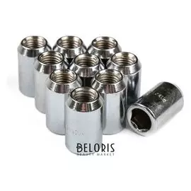 Гайка 12х1,5 мм, высота 32, под шестигранник, хром, набор 20 шт