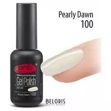 Гель лак для ногтей PNB