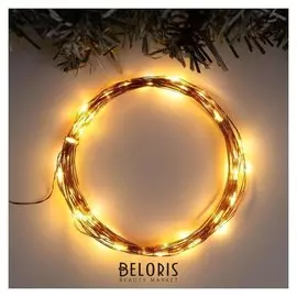 Гирлянда "Нить" 5 м роса, Ip20, медная нить, 50 Led, свечение тёплое белое, фиксинг, USB