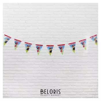 Гирлянда-вымпел «Щенячий патруль», 230 см