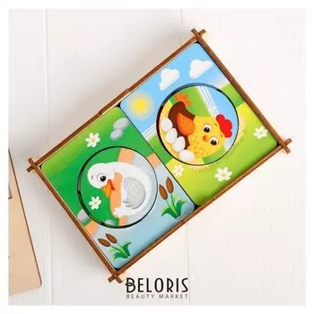 Головоломка Досочки Сегена Кто где живёт