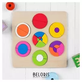 Головоломка Дроби и целое. Круги