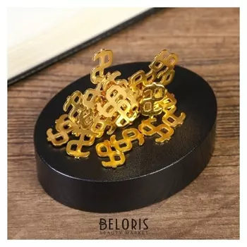 Головоломка магнитная "Деньги"