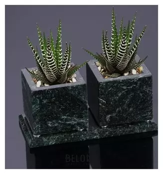 Горшки для цветов "Суккулент",2 шт. на подставке с магнитами, змеевик, 7,5х16х7,5 см