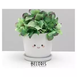 Горшок для цветов «Глазки», 10 х 10 см, 0.5 л, глянец