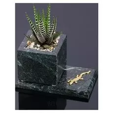 Горшок для цветов "Суккулент", на подставке с магнитами, змеевик, 7,5х12,5х7,5 см