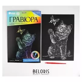 Гравюра «Котёнок с бабочкой» с эффектом голография