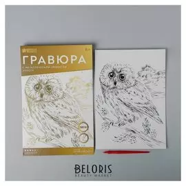 Гравюра «Мудрая сова» A4, с металлическим золотым эффектом