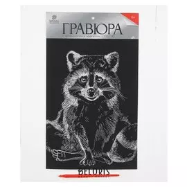 Гравюра на подложке "Енот" с металлическим эффектом серебра А4