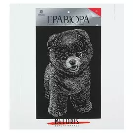 Гравюра на подложке "Шпиц" с металлическим эффектом серебра А4