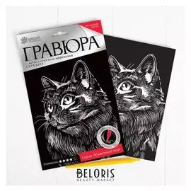Гравюра "Пушистый кот" с металлическим эффектом серебра А5