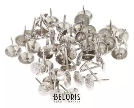 Гвозди декоративные, 16 х 11 мм, фактурные, цвет хром, в упаковке 100 шт.