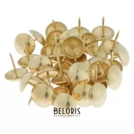 Гвозди декоративные, 19х22 мм, цвет золото, в упаковке 200 шт.