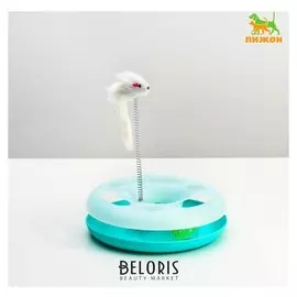 Игрушка для кошек "Загадочный круг" с дразнилкой и шариком, 24 х 24 х 7 см