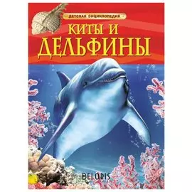 Энциклопедия детская Киты и дельфины Дэвидсон С.