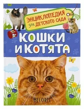 Энциклопедия для детского сада Кошки и котята
