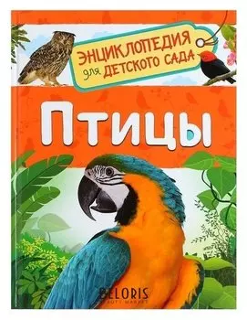 Энциклопедия для детского сада Птицы Гальцева С. Н.