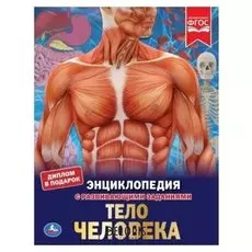 Энциклопедия Секреты тела человека