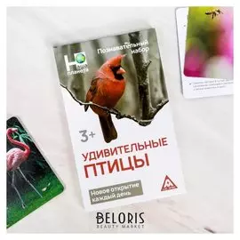 Энциклопедия в карточках «Удивительные птицы», 24 карточки