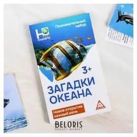 Энциклопедия в карточках «Загадки океана», 24 карточки