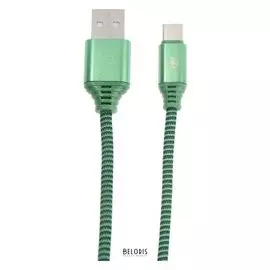 Кабель Smartbuy, Type-c - Usb, 2 А, нейлоновая оплётка, 1 м, зеленый