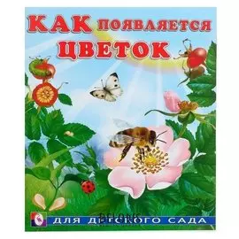 Как появляется цветок