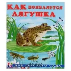 Как появляется лягушка