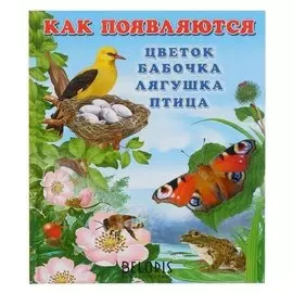 Как появляются цветок, бабочка, лягушка, птица