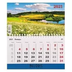 Календарь моно "Природа-6" 2021 год, 20 × 24 см