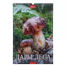 Календарь перекидной на ригеле "Дары леса" 2021 год 320х480 мм