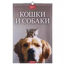 Календарь перекидной на ригеле "Кошки и собаки" 2021 год 320х480 мм