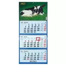 Календари квартальные трио "Символ года, 2021-11" 31 х 69 см