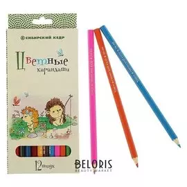 Карандаши 12 цветов "Ёжик"