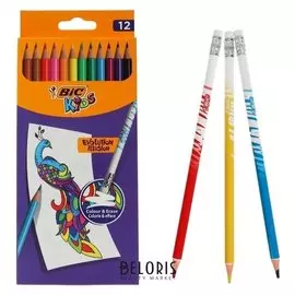 Карандаши 12 цветов Kids Evolution Illusion