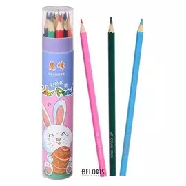 Карандаши 12 цветов в тубусе HW Hong WEI шестигранные заточенные