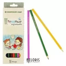 Карандаши 18 цветов "Ежик"
