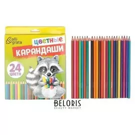 Карандаши 24 цвета
